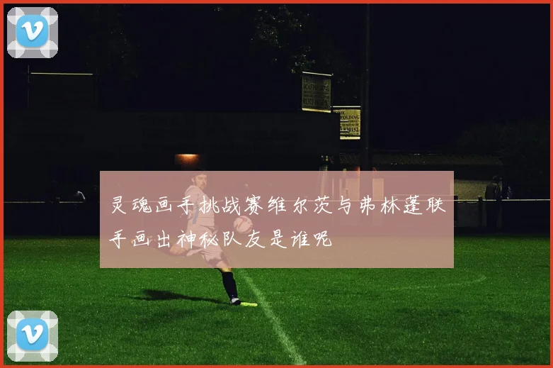 灵魂画手挑战赛维尔茨与弗林蓬联手画出神秘队友是谁呢
