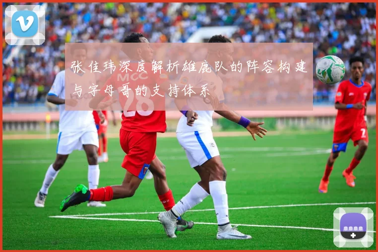 张佳玮深度解析雄鹿队的阵容构建与字母哥的支持体系