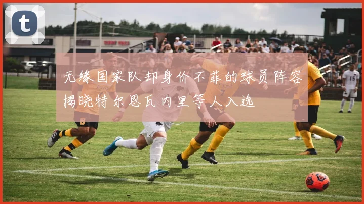 无缘国家队却身价不菲的球员阵容揭晓特尔恩瓦内里等人入选