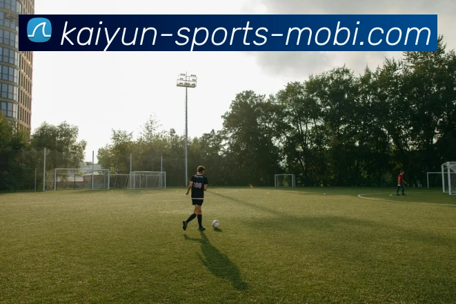 开云体育平台生态图