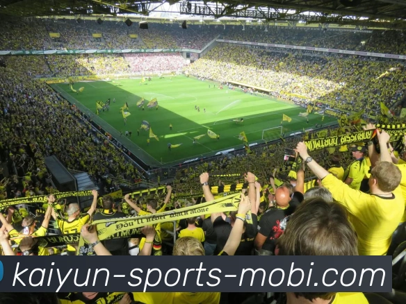 开云体育APP 封面图